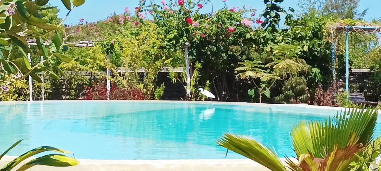 Matemwe Ocean View Villas 外观 照片