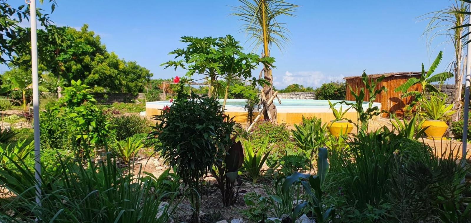 Matemwe Ocean View Villas 外观 照片